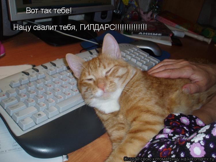 Котоматрица: Вот так тебе! Нацу свалит тебя, ГИЛДАРС!!!!!!!!!!!!!!