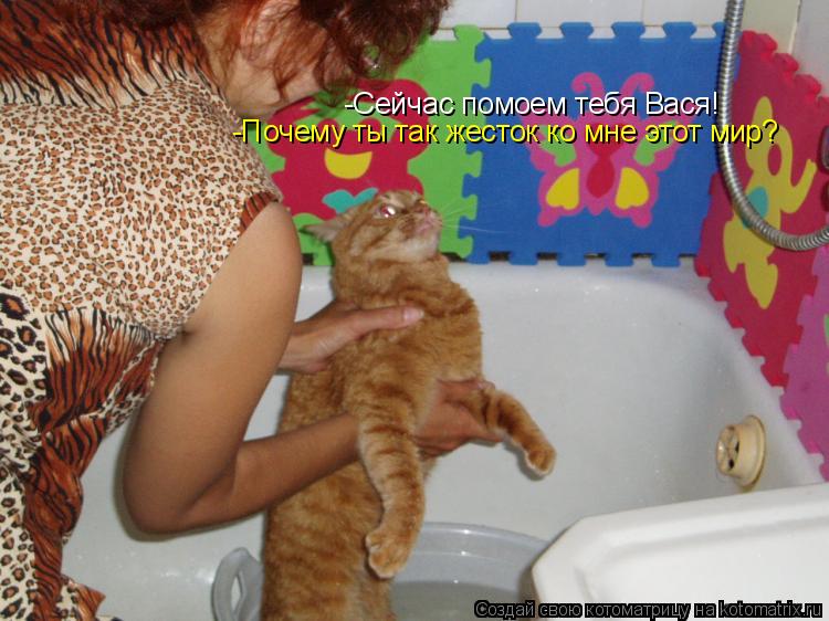 Котоматрица: -Сейчас помоем тебя Вася! -Почему ты так жесток ко мне этот мир?