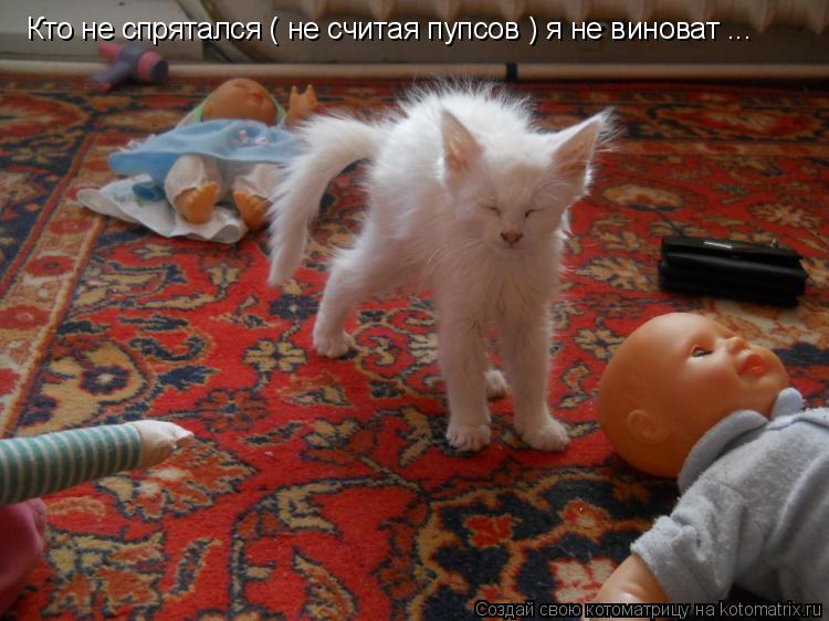 Котоматрица: Кто не спрятался ( не считая пупсов ) я не виноват ...