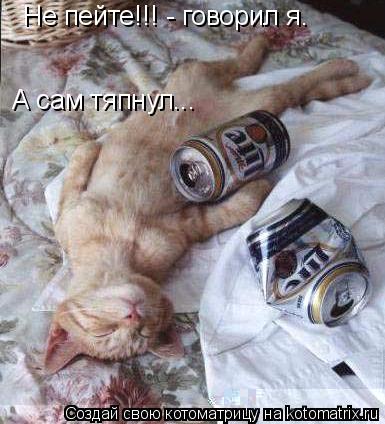 Котоматрица: Не пейте!!! - говорил я. А сам тяпнул...