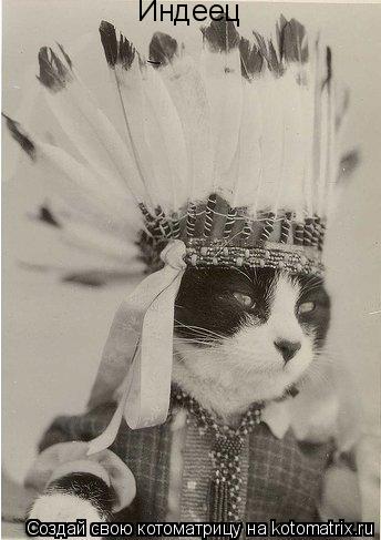 Котоматрица: Индеец