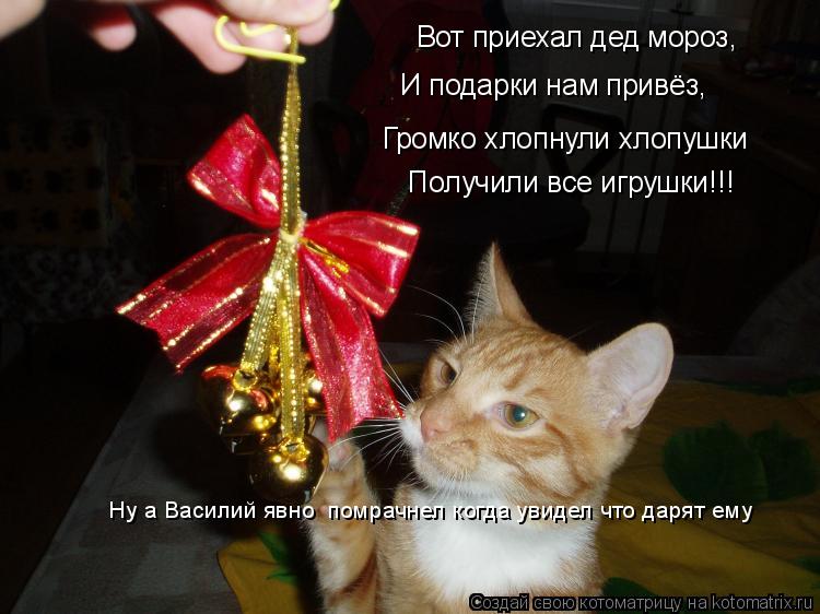 Котоматрица: Вот приехал дед мороз,  И подарки нам привёз,  Громко хлопнули хлопушки  Получили все игрушки!!!   Ну а Василий явно  помрачнел когда увидел чт