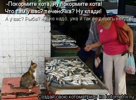 -Покормите кота, ну покормите кота! Что там у вас? печеночка? Ну клади! А у вас? Рыба? не, не надо, у... Котоматрица: -Покормите кота, ну покормите кота! Что там у вас? печеночка? Ну клади! А у вас? Рыба? не, не надо, уже и так ее девать некуда!