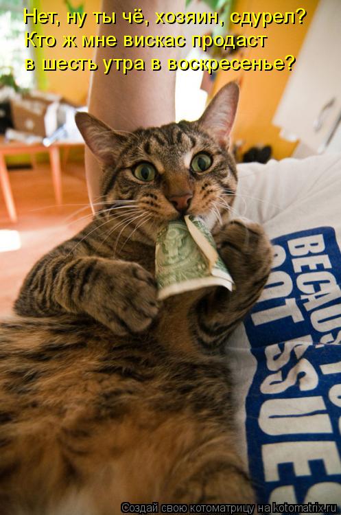Котоматрица: Нет, ну ты чё, хозяин, сдурел? Кто ж мне вискас продаст в шесть утра в воскресенье?