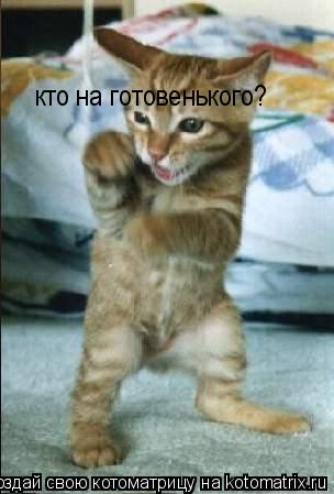 Котоматрица: кто на готовенького?
