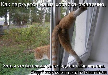 Котоматрица: Как паркуется наша хозяйка-ржааачно.. Хоть и что бы посмотреть я иду на такие жертвы...