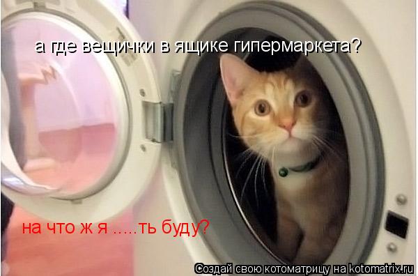 Котоматрица: а где вещички в ящике гипермаркета? на что ж я .....ть буду?