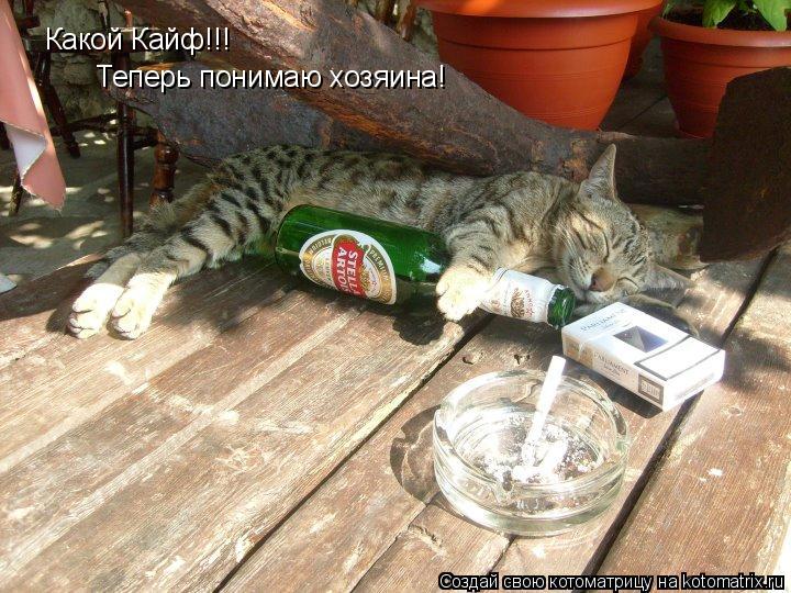 Котоматрица: Какой Кайф!!! Теперь понимаю хозяина!