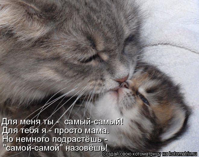 Для меня ты - самый-самый! Для тебя я - просто мама. Но немного подрастёшь - "самой-самой" назовёшь!... Котоматрица: Для меня ты - самый-самый! Для тебя я - просто мама. Но немного подрастёшь - "самой-самой" назовёшь!