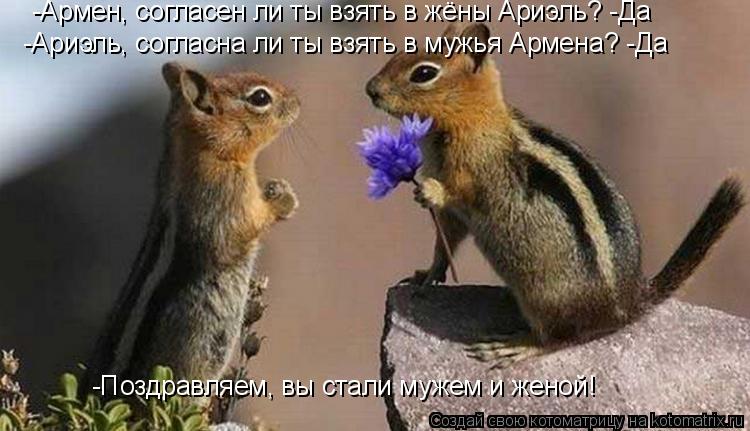 Котоматрица: -Армен, согласен ли ты взять в жёны Ариэль? -Да -Ариэль, согласна ли ты взять в мужья Армена? -Да -Поздравляем, вы стали мужем и женой!