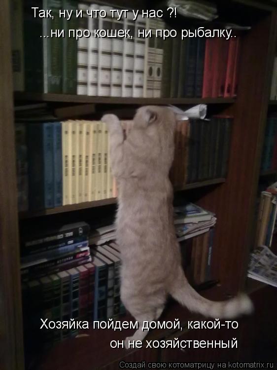 Котоматрица: Так, ну и что тут у нас ?! ...ни про кошек, ни про рыбалку.. Хозяйка пойдем домой, какой-то  он не хозяйственный