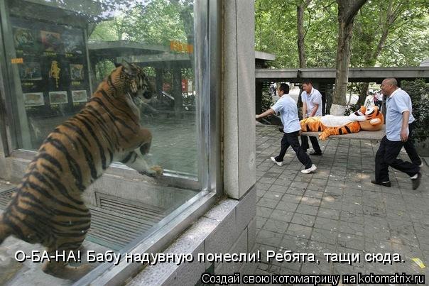 Котоматрица: О-БА-НА! Бабу надувную понесли! Ребята, тащи сюда.