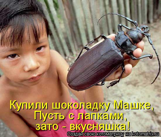 Котоматрица: Купили шоколадку Машке, Пусть с лапками,  зато - вкусняшка!