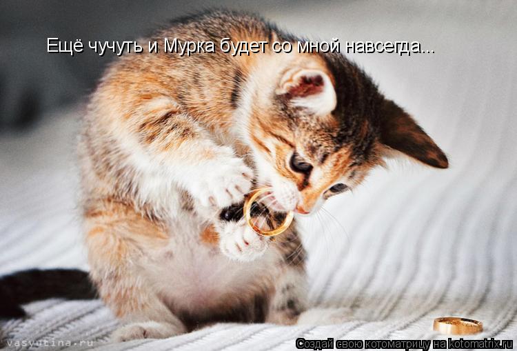 Котоматрица: Ещё чучуть и Мурка будет со мной навсегда...