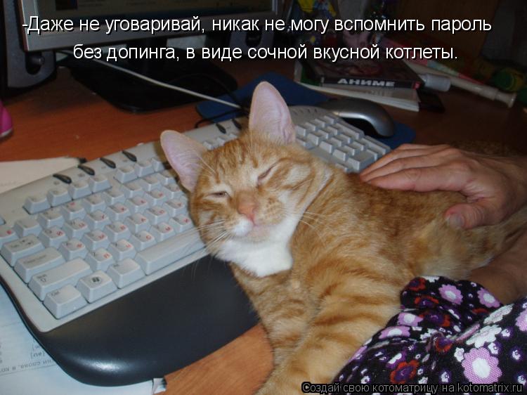 Котоматрица: -Даже не уговаривай, никак не могу вспомнить пароль без допинга, в виде сочной вкусной котлеты.