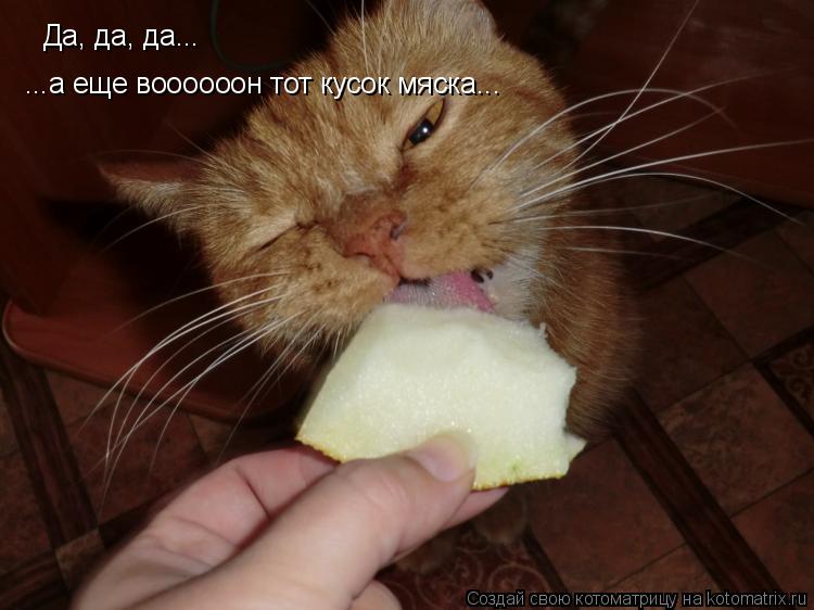 Котоматрица: Да, да, да... ...а еще воооооон тот кусок мяска...