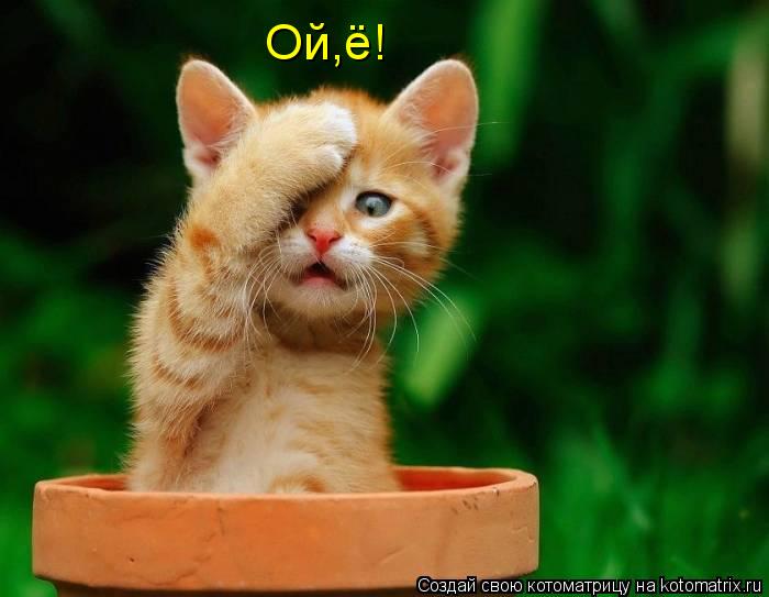 Котоматрица: Ой,ё!