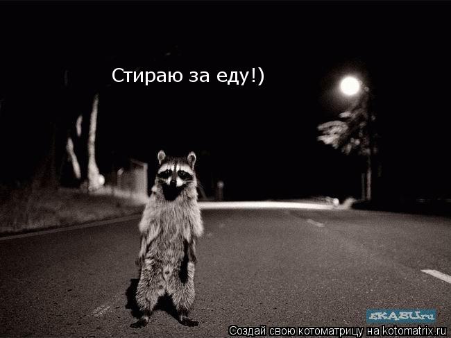 Котоматрица: Стираю за еду!)