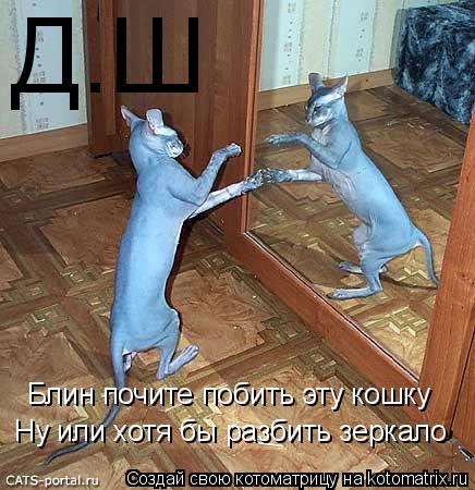 Котоматрица: Блин почите побить эту кошку Ну или хотя бы разбить зеркало Д.Ш