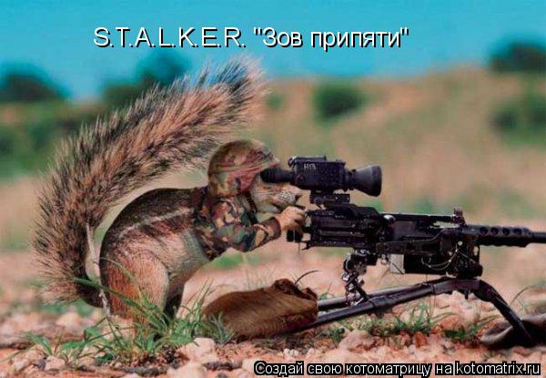 Котоматрица: S.T.A.L.K.E.R. "Зов припяти"