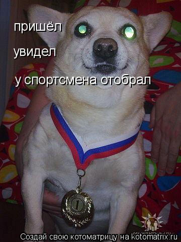 Котоматрица: увидел пришёл у спортсмена отобрал