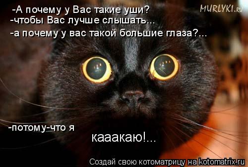 Котоматрица: -А почему у Вас такие уши? -чтобы Вас лучше слышать... -а почему у вас такой большие глаза?... кааакаю!... -потому-что я