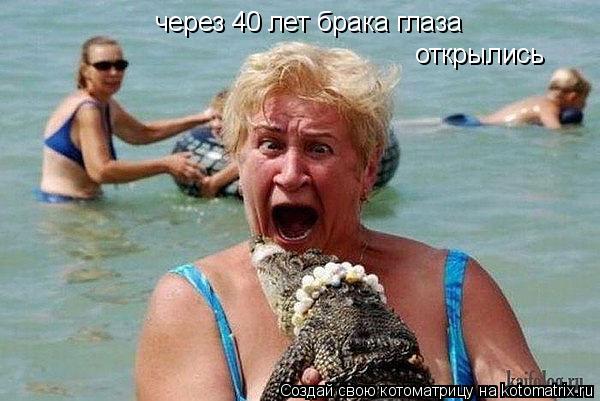 Котоматрица: через 40 лет брака глаза открылись