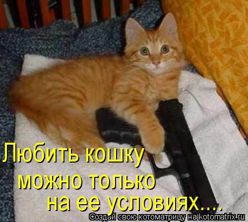 Котоматрица: Любить кошку можно только  на ее условиях....