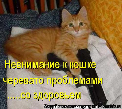 Котоматрица: Невнимание к кошке черевато проблемами  .....со здоровьем