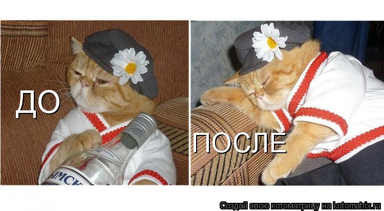 Котоматрица: ДО ПОСЛЕ