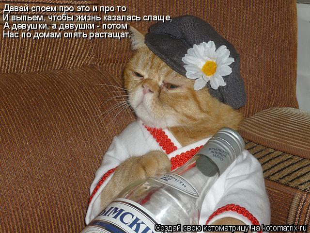 Котоматрица: Давай споем про это и про то И выпьем, чтобы жизнь казалась слаще, А девушки, а девушки - потом Нас по домам опять растащат.