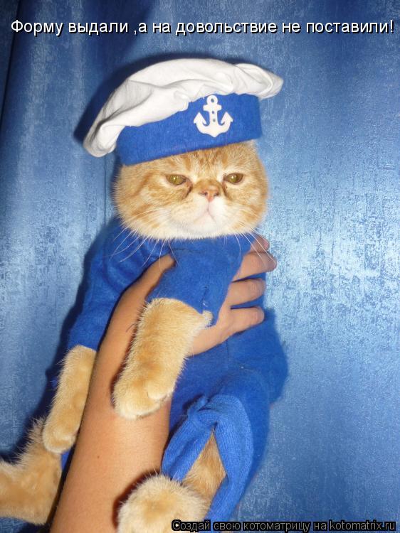 Котоматрица: Форму выдали ,а на довольствие не поставили!