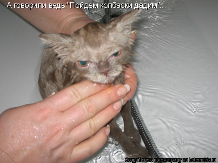 Котоматрица: А говорили ведь:"Пойдем колбаски дадим"...