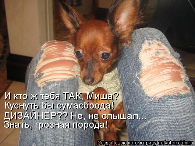 И кто ж тебя ТАК, Миша? Куснуть бы сумасброда! ДИЗАЙНЕР?? Не, не слышал... Знать, грозная порода!... Котоматрица: И кто ж тебя ТАК, Миша? Куснуть бы сумасброда! ДИЗАЙНЕР?? Не, не слышал... Знать, грозная порода!