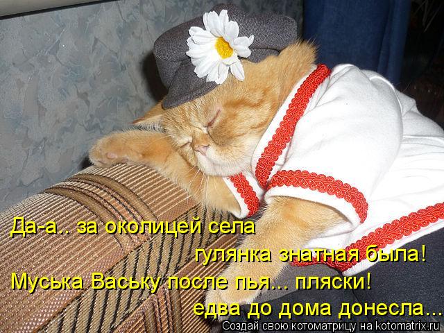 Да-а.. за околицей села гулянка знатная была! Муська Ваську после пья... пляски! едва до дома донесл... Котоматрица: Да-а.. за околицей села гулянка знатная была! Муська Ваську после пья... пляски! едва до дома донесла...