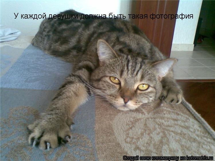 У каждой девушки должна быть такая фотография... Котоматрица: У каждой девушки должна быть такая фотография