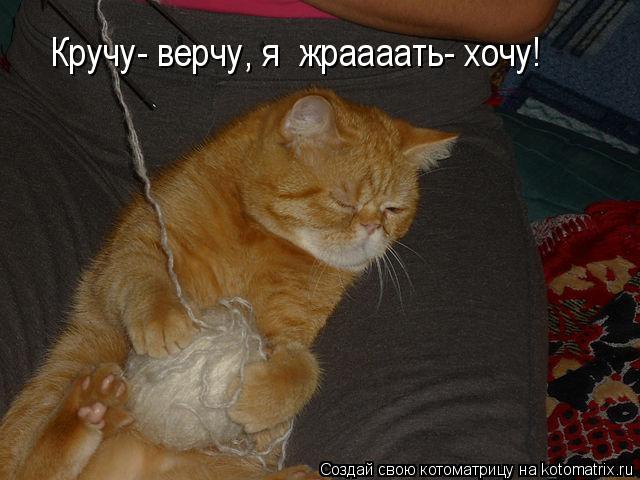 Котоматрица: Кручу- верчу, я  жраааать- хочу!