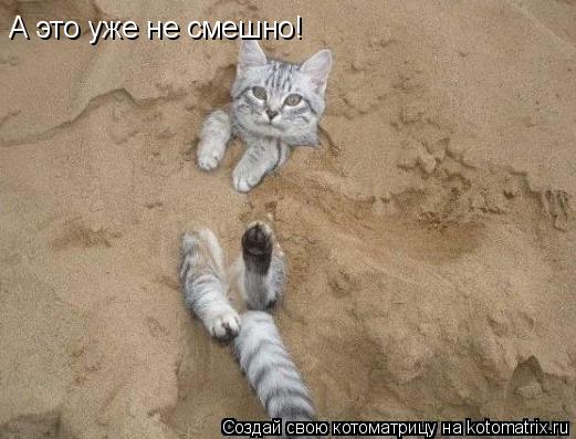 Котоматрица: А это уже не смешно!
