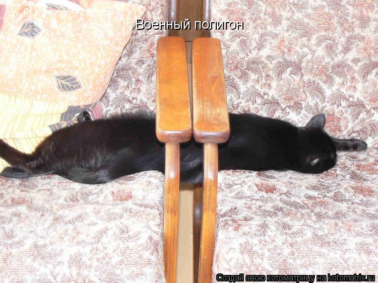 Котоматрица: Военный полигон