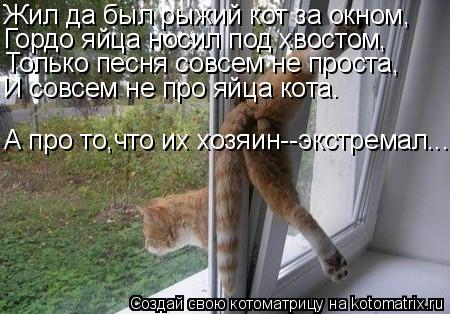 Котоматрица: Жил да был рыжий кот за окном, Гордо яйца носил под хвостом, Только песня совсем не проста, И совсем не про яйца кота. А про то,что их хозяин--э