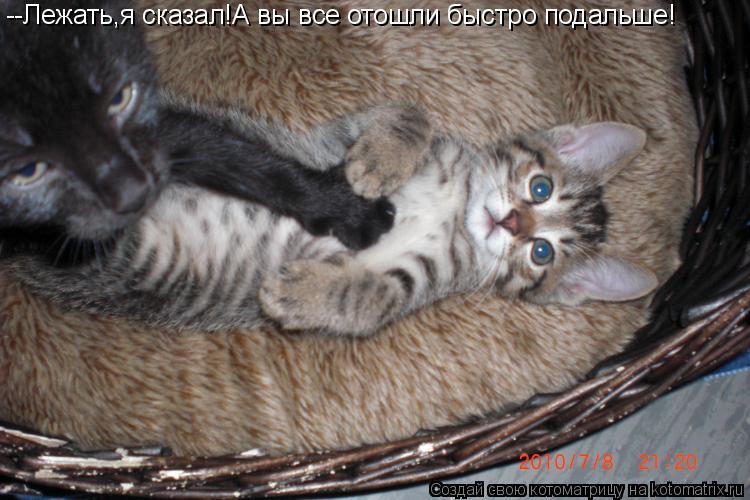 --Лежать,я сказал!А вы все отошли быстро подальше!... Котоматрица: --Лежать,я сказал!А вы все отошли быстро подальше!