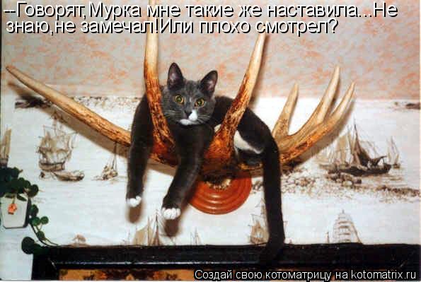 --Говорят,Мурка мне такие же наставила...Не знаю,не замечал!Или плохо смотрел?... Котоматрица: --Говорят,Мурка мне такие же наставила...Не знаю,не замечал!Или плохо смотрел?
