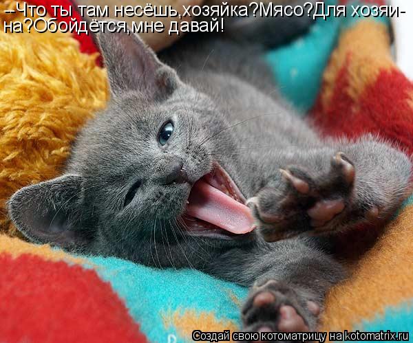 --Что ты там несёшь,хозяйка?Мясо?Для хозяи- на?Обойдётся,мне давай!... Котоматрица: --Что ты там несёшь,хозяйка?Мясо?Для хозяи- на?Обойдётся,мне давай!