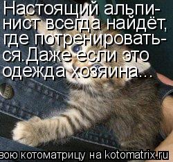 Котоматрица: Настоящий альпи- нист всегда найдёт, где потренировать- ся.Даже если это  одежда хозяина...