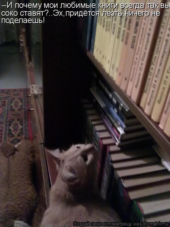 Котоматрица: --И почему мои любимые книги всегда так вы- соко ставят?..Эх,придётся лезть,ничего не  поделаешь!