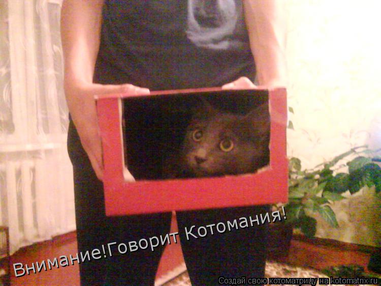 Котоматрица: Внимание!Говорит Котомания!