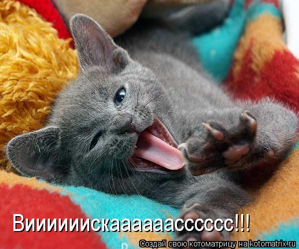 Котоматрица: Виииииискаааааасссссс!!!