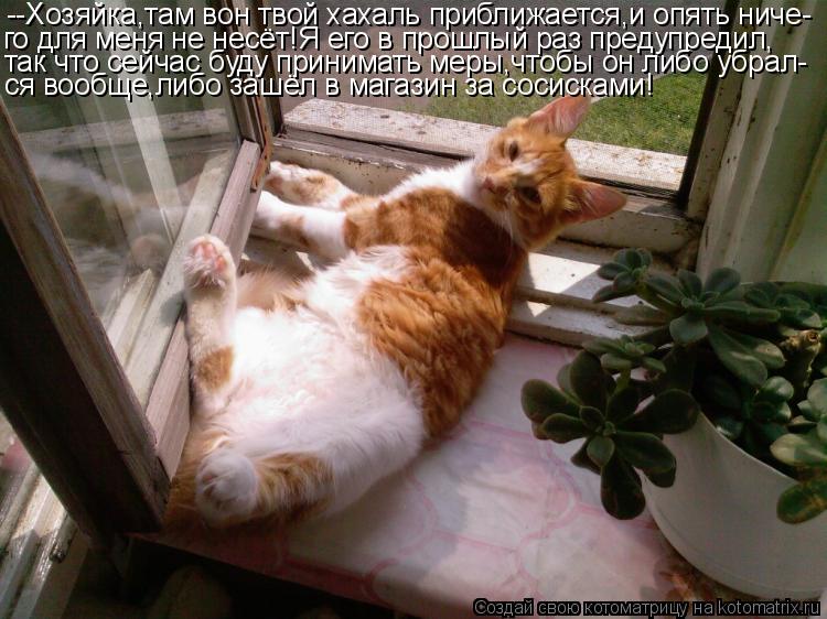 Котоматрица: --Хозяйка,там вон твой хахаль приближается,и опять ниче- го для меня не несёт!Я его в прошлый раз предупредил, так что сейчас буду принимать м
