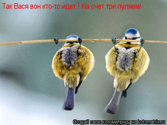 Котоматрица: Так Вася вон кто-то идет ! На счет три пуля- Так Вася вон кто-то идет ! На счет три пуляем!