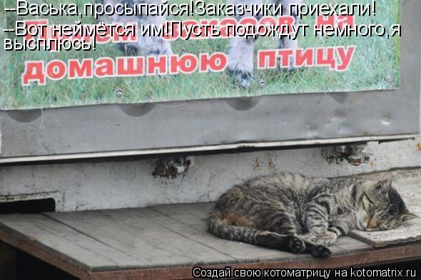 Котоматрица: --Васька,просыпайся!Заказчики приехали! --Вот неймётся им!Пусть подождут немного,я высплюсь!